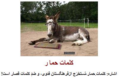 Rahimi5