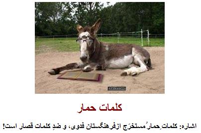 Rahimi7