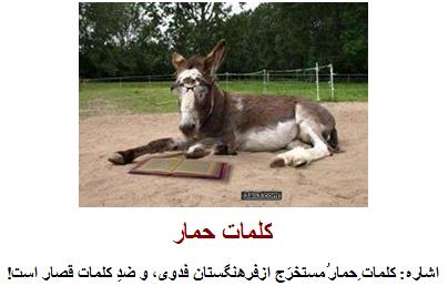 Rahimi8